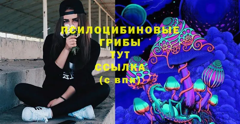 Псилоцибиновые грибы Magic Shrooms  Дмитровск 